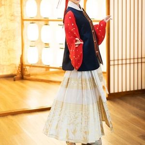 SOLD - Chinese Ming Dynasty hanfu - "mamian" skirt